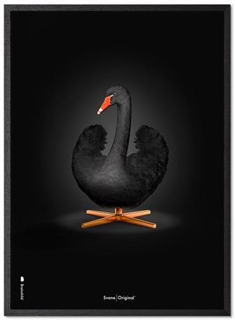 Plakat Svanen-Original sort svane på sort baggrund 50x70 cm