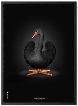 Plakat Svanen-Original sort svane på sort baggrund 30x40 cm