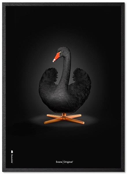 Plakat Svanen-Original sort svane på sort baggrund 30x40 cm