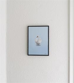 Plakat Svanen-Original blå 50x70 cm fra Brainchild Original