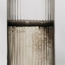Ripple Champagne Flutes klar 2 stk fra Ferm Living