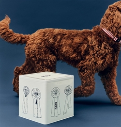 HAY Dogs Food storage tin dåse fra HAY
