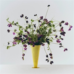 Conical Vase - Konisk vase fra HAY - flere størrelser og farver