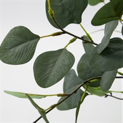 Kunstig plante HDEucalyptus grå/grøn fra House Doctor