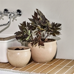 HDVale urtepotter i beige fra House Doctor