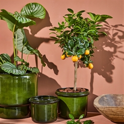 HDHoop urtepotter i grøn fra House Doctor