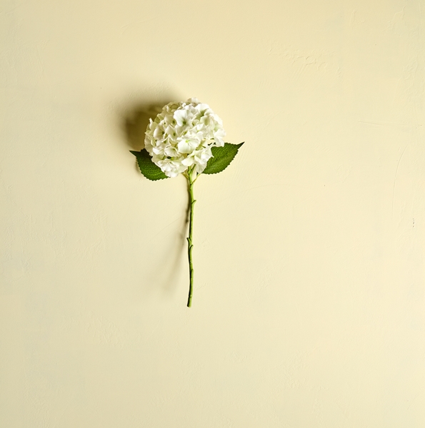 Artificial flower - HDHydrangea hvid fra House Doctor