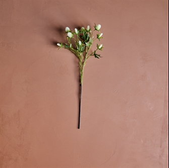 Artificial flower - HDEryngium hvid fra House Doctor