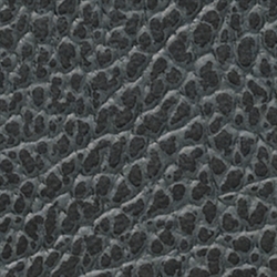 Læder dækkeserviet curve i hippo sort-antracite