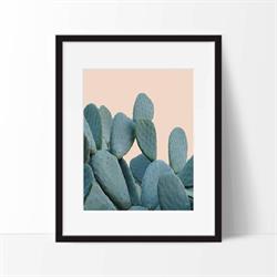 Plakat Ice kaktus plante A3