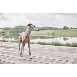 Hundesnor Robin i natur læder fra OYOY