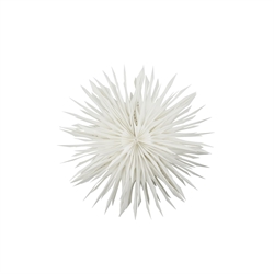 Stjerne ornament Reef 50cm fra House Doctor
