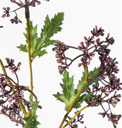 Artificial branch - HDMeadow bordeaux fra House Doctor