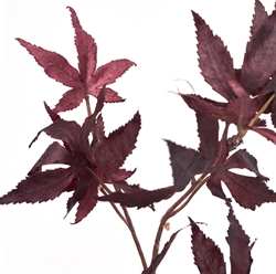 Artificial branch - HDMaple bordeaux fra House Doctor