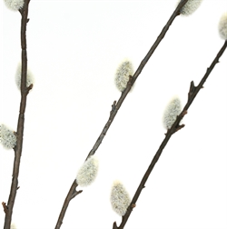 Artificial branch - HDSalix grøn fra House Doctor